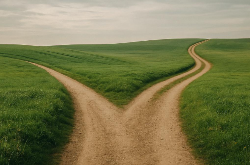 two roads diverged